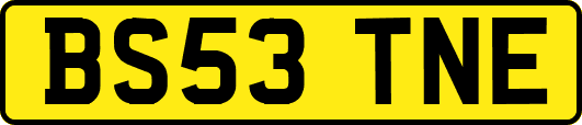 BS53TNE