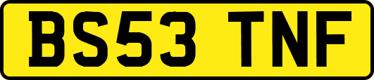 BS53TNF