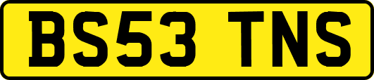 BS53TNS