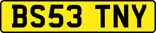 BS53TNY