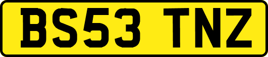BS53TNZ
