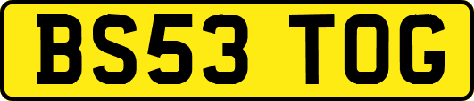 BS53TOG