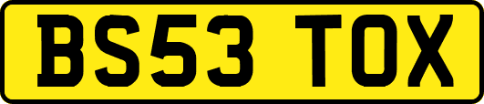 BS53TOX