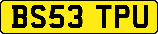 BS53TPU