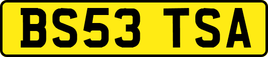 BS53TSA