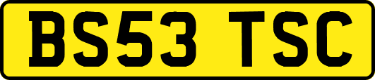 BS53TSC