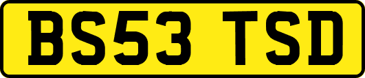 BS53TSD