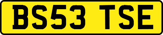 BS53TSE