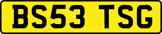 BS53TSG