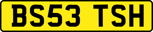 BS53TSH