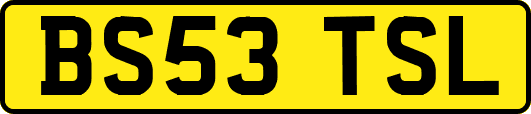 BS53TSL