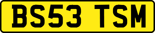 BS53TSM