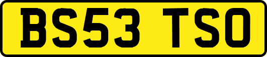 BS53TSO