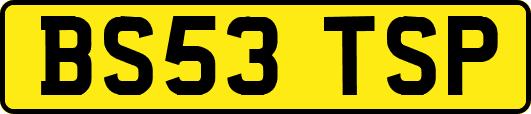 BS53TSP