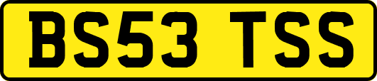BS53TSS
