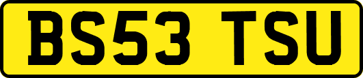 BS53TSU
