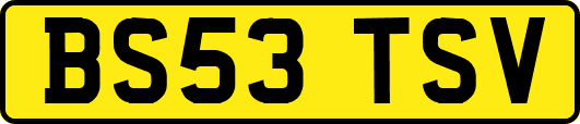 BS53TSV