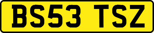 BS53TSZ