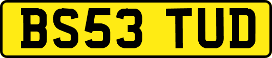 BS53TUD
