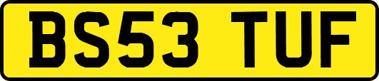 BS53TUF