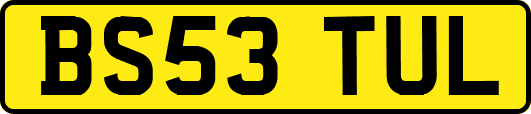 BS53TUL