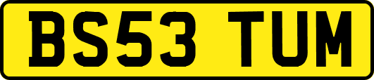 BS53TUM