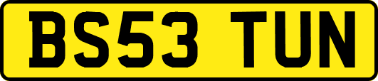 BS53TUN