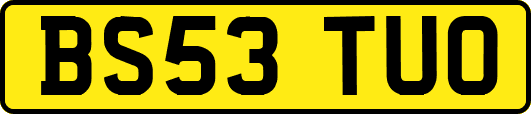 BS53TUO