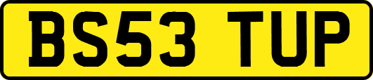 BS53TUP