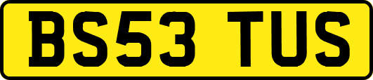 BS53TUS
