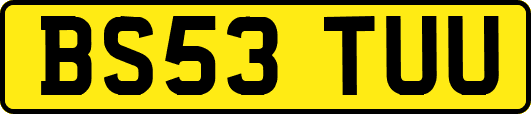 BS53TUU