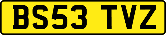 BS53TVZ
