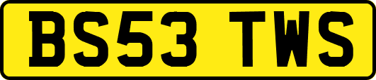 BS53TWS