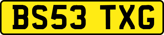 BS53TXG