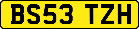 BS53TZH