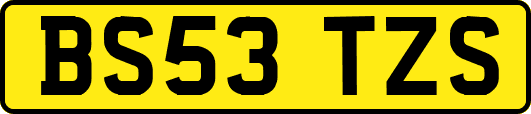 BS53TZS