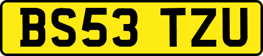 BS53TZU