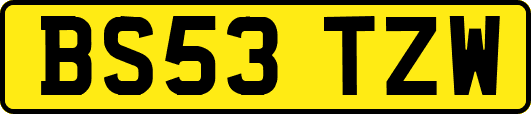 BS53TZW