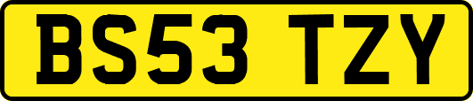 BS53TZY