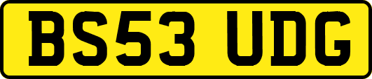 BS53UDG