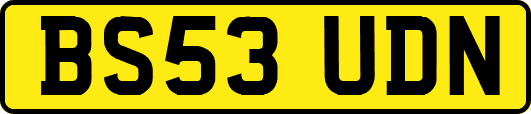 BS53UDN