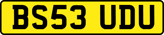 BS53UDU