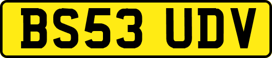 BS53UDV