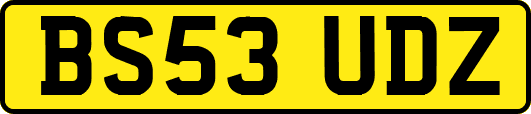 BS53UDZ