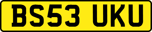 BS53UKU