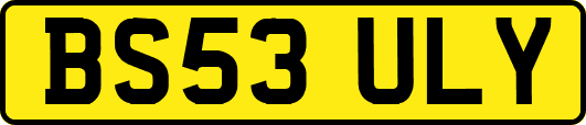 BS53ULY