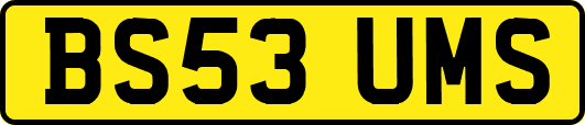 BS53UMS