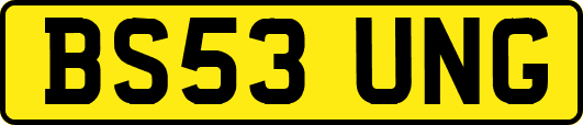 BS53UNG