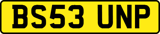 BS53UNP