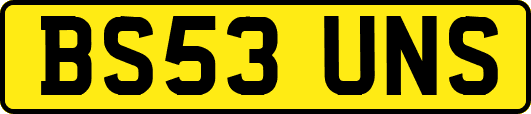 BS53UNS